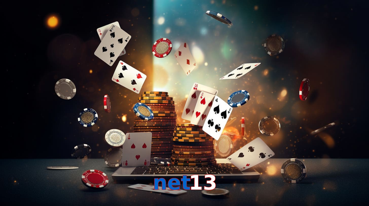 net13