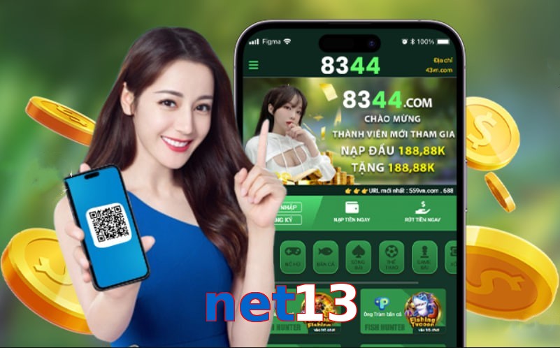 net13