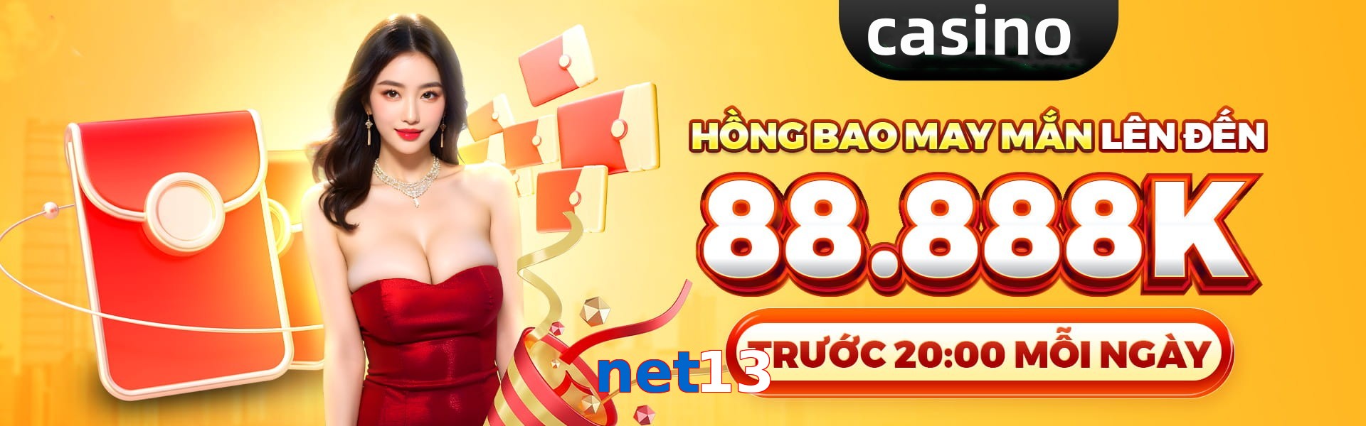 net13
