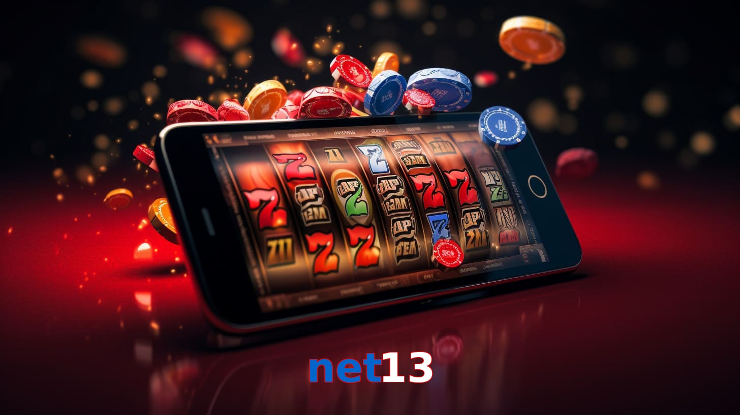 net13