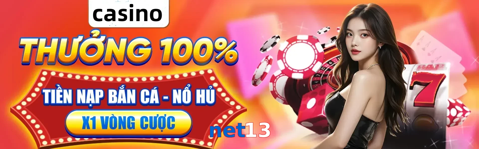 net13