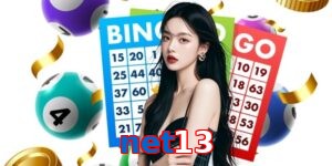 net13