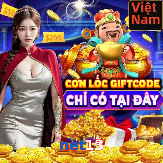 net13