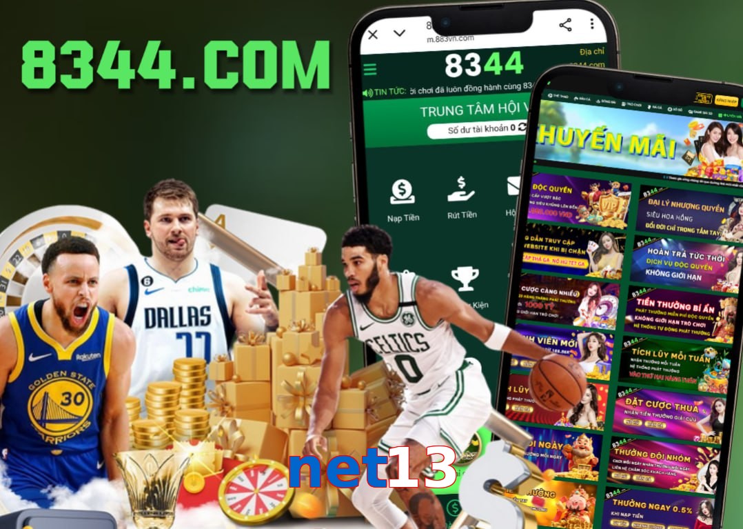 net13